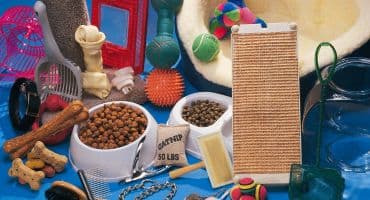 Pet Care